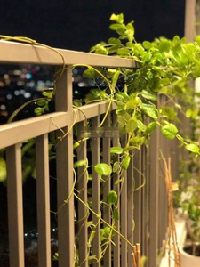 Căn hộ The Sun Avenue, Quận 2 Cần bán căn hộ 3PN nội thất cao cấp The Sun Avenue 