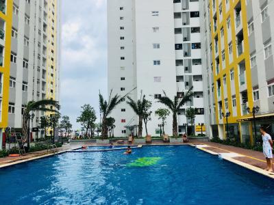 Hồ bơi City Gate, Quận 8 Căn hộ City Gate tầng trung, view nội khu hồ bơi mát mẻ.