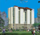 Kim Hồng Fortuna - 