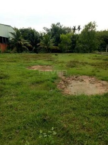 Đất nền diện tích 1002m2, hướng Đông Bắc cách đường Trung Lập 50m.