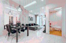 The Art - can-ho-mau-the-art