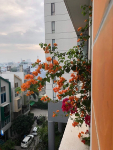 Căn hộ La Astoria, Quận 2 Căn hộ La Astoria diện tích 51m2 có 1 phòng ngủ, đầy đủ nội thất.