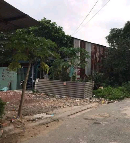 Đất nền Quận Bình Tân Đất nền diện tích 56m2 hướng Đông Bắc thoáng mát, khu vực dân cư sầm uất.