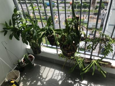 Căn hộ Saigon Gateway, Quận 9 Căn hộ Saigon Gateway cửa hướng Tây Bắc, nội thất cơ bản.