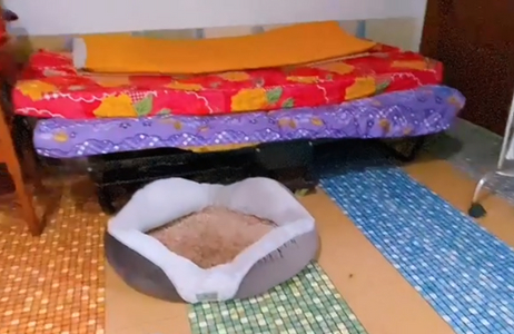 Nhà phố Quận Tân Phú Nhà phố diện tích 114m2 có ban công rộng, phù hợp trồng cây xanh.