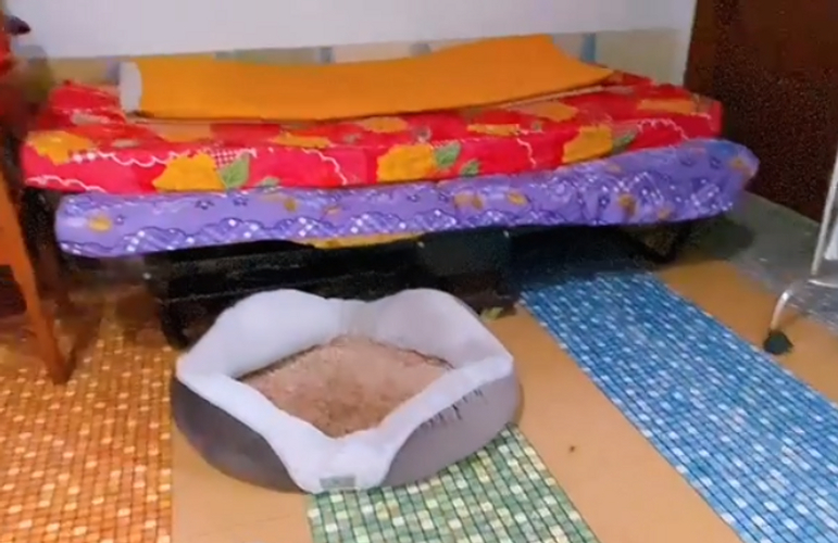 Nhà phố Quận Tân Phú Nhà phố diện tích 114m2 có ban công rộng, phù hợp trồng cây xanh.