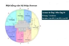 City Garden - Mặt bằng căn hộ Avenue