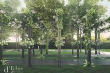 D'Edge - san-vuon-chay-bo-thu-gian-dedge.jpg