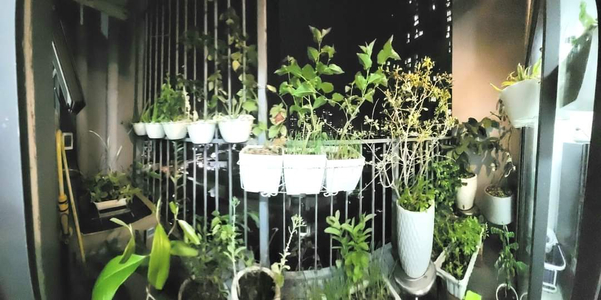 Officetel La Astoria, Quận 2 Officetel La Astoria diện tích 45m2, bàn giao đầy đủ nội thất.