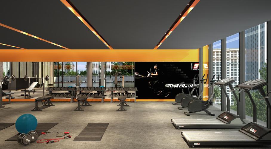 Palm City - Phòng tập GYM