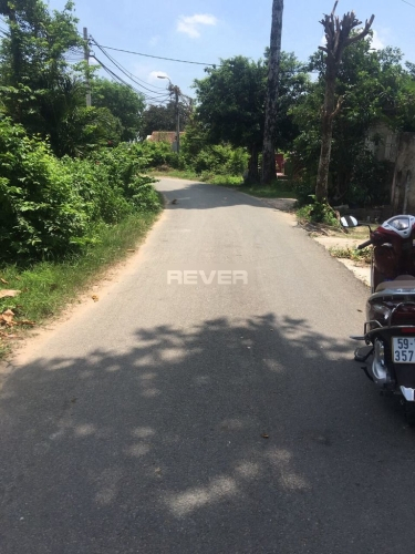 Rever