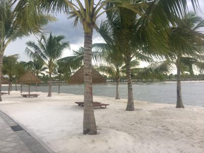 Tiện ích Vinhomes Grand Park Quận 9 Căn hộ Vinhomes Grand Park view nội khu yên tĩnh, tầng thấp.