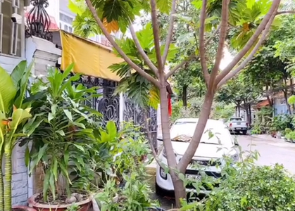 Đường trước nhà phố Quận Tân Phú Nhà phố diện tích 114m2 có ban công rộng, phù hợp trồng cây xanh.
