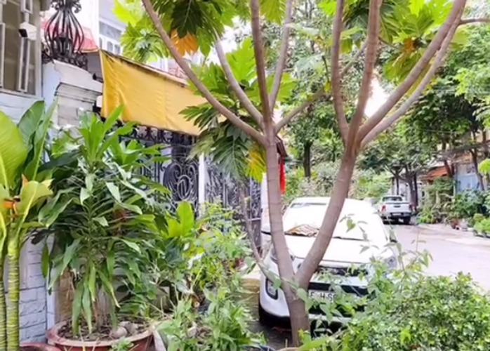 Đường trước nhà phố Quận Tân Phú Nhà phố diện tích 114m2 có ban công rộng, phù hợp trồng cây xanh.