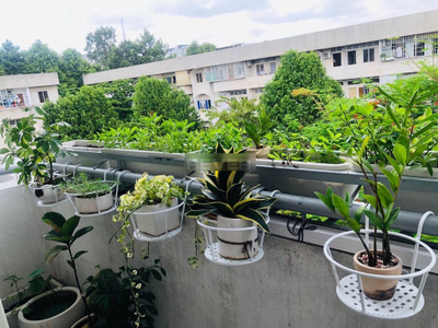 Căn hộ 43 Hồ Văn Huê, Quận Phú Nhuận Căn hộ 43 Hồ Văn Huê tầng 4 diện tích 52m2, nội thất cơ bản.