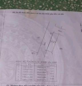 Đất nền Quận Bình Tân Đất nền diện tích 56m2 hướng Đông Bắc thoáng mát, khu vực dân cư sầm uất.