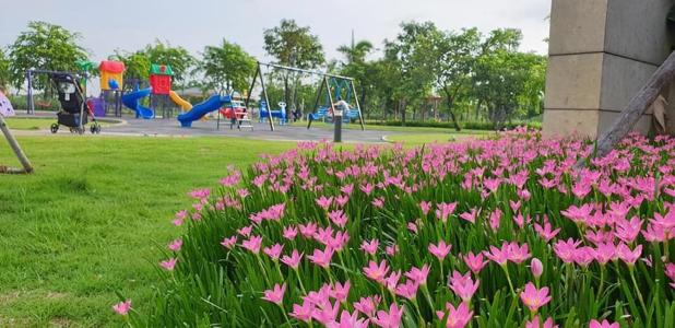 tiện ích nhà phố park riverside Nhà phố Park Riverside Tân Cảng đầy đủ nội thất.