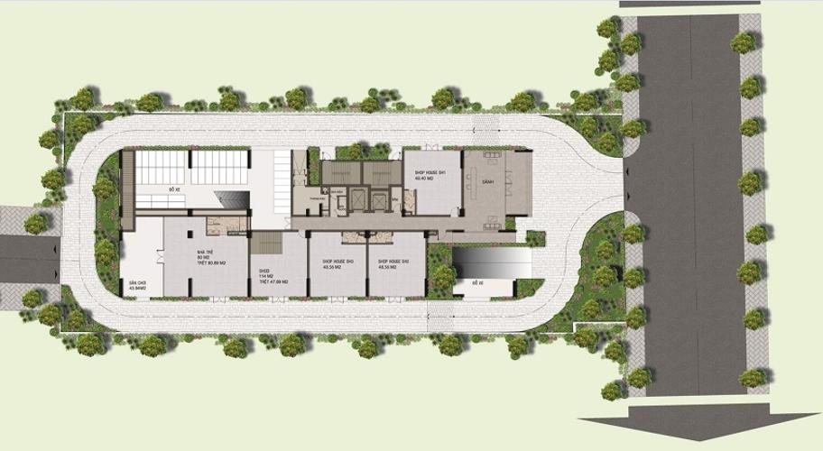 Harina View - mb-tang-tret-harina-view.jpg