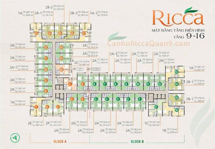 layout căn hộ Ricca Căn hộ Ricca nội thất cơ bản, thiết kế hiện đại, sắp bàn giao.