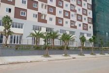 Newtown Apartment - can-ho-Newtown-Apartment