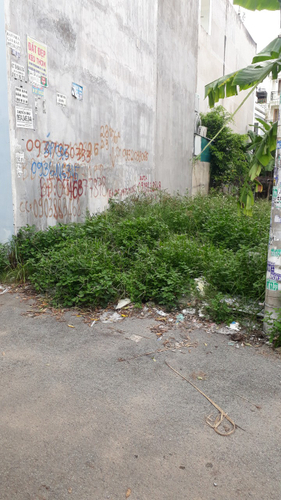 Đất nền Quận 9 Đất nền diện tích 63m2 có sổ hồng riêng, khu dân cư sầm uất.