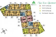 Ngọc Lan Apartment - mat-bang-tang-dien-hinh-chung-cu-ngoc-lan