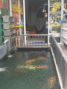 Không gian nhà phố Quận Thủ Đức Nhà phố đường nhựa rộng 8m không ngập nước, kết cấu 1 trệt 3 lầu.