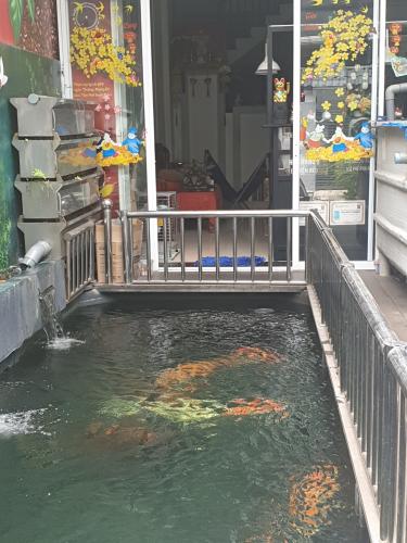 Không gian nhà phố Quận Thủ Đức Nhà phố đường nhựa rộng 8m không ngập nước, kết cấu 1 trệt 3 lầu.