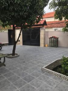 Biệt thự sân vườn phường An Phú, quận 2 Biệt thự sân vườn P. An Phú quận 2, diện tích 12m x 22m, đầy đủ nội thất