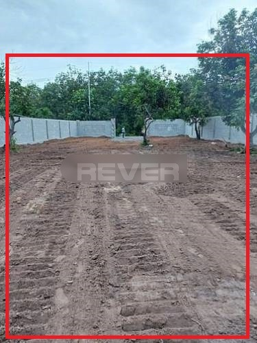 Rever