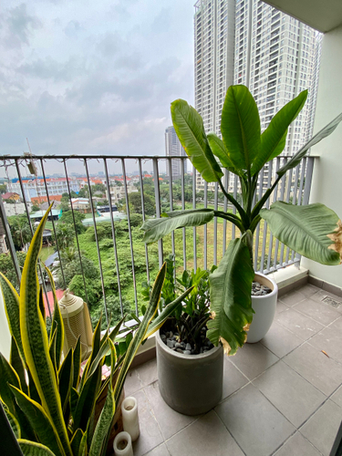 View căn hộ Masteri Thảo Điền, Quận 2 Căn hộ Masteri Thảo Điền tầng 7 view hồ bơi, bàn giao đầy đủ nội thất.