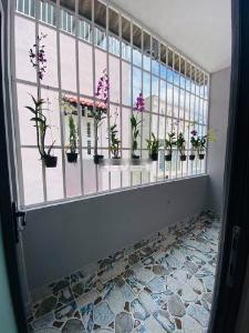 Nhà phố Huyện Nhà Bè Nhà phố đường xe hơi rộng rãi hướng Tây, kết cấu 1 trệt 2 lầu.