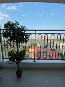 View ban công Saigon Royal Quận 4 Căn hộ Saigon Royal tầng trung, view sông Sài Gòn mát mẻ.