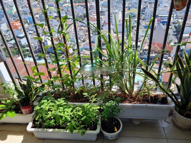 Ban công RichStar, Tân Phú Căn hộ RichStar có 2 phòng ngủ, ban công rộng view đón gió mát.