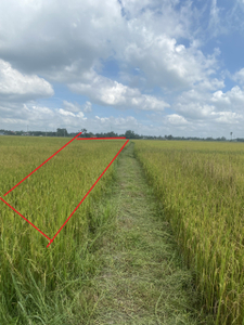 Đất nền Huyện Củ Chi Đất trồng cây hằng năm diện tích 3000m2, có sổ hồng riêng bàn giao ngay.