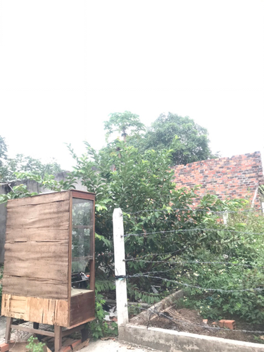 Đất nền Quận 12 Đất nền diện tích 60m2 vuông đẹp, gần sông Sài Gòn rất thoáng mát.