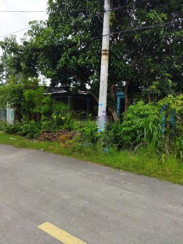 Đất nền Huyện Củ Chi Đất nền mặt tiền đường Trung An diện tích 168m2, có sổ hồng riêng.