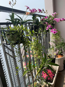 View căn hộ Saigon South Residence, Huyện Nhà Bè Căn hộ Saigon South Residence tầng 28 ban công hướng Nam thoáng mát.