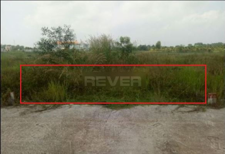 Rever