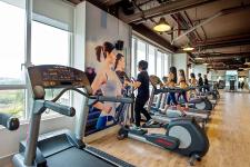 Sunrise City Sunrise City - Sunrise City