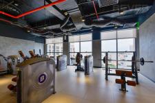 The Sun Avenue - The Sun Avenue