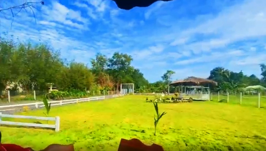 Đất nền Huyện Củ Chi Đất nền diện tích 500m2 mặt tiền đường nhựa rộng 7m thông thoáng.