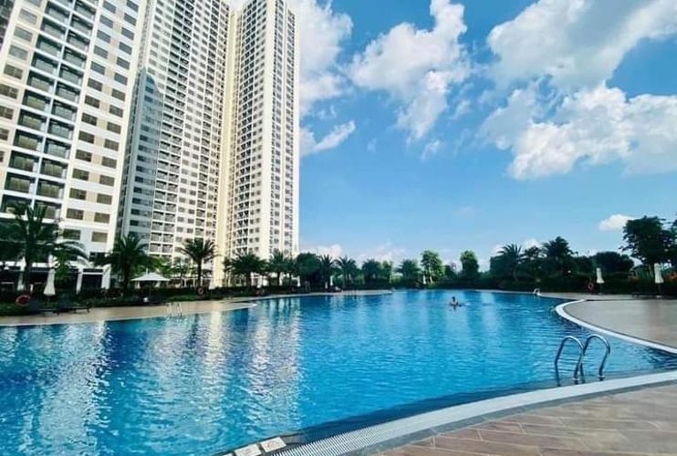 Hồ bơi Vinhomes Grand Park, Quận 9 Căn hộ Vinhomes Grand Park nội thất cơ bản, đón view Đông Nam.