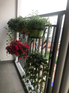 Ban công  căn hộ Saigon South Residence Căn hộ Saigon South Residence tầng trung, đầy đủ nội thất tinh tế.