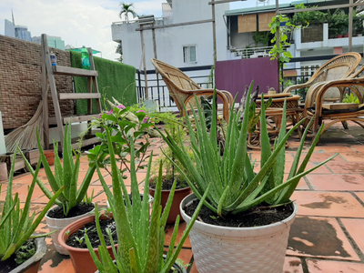 Nhà phố Quận Bình Thạnh Nhà phố nằm tại khu vực dân cư sầm uất, kết cấu 1 trệt, 1 lầu kiên cố.