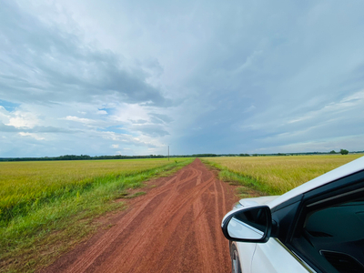 Đất nền Huyện Củ Chi Đất trồng cây hằng năm diện tích 3000m2, có sổ hồng riêng bàn giao ngay.