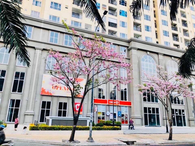 Saigon Mia, Huyện Bình Chánh Căn hộ Saigon Mia hướng ban công nam đầy đủ nội thất diện tích 56m²