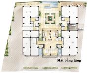 The Golden Dynasty (Hoàng Kim Thế Gia) - mat-bang-tang-can-ho-The-Golden-Dynasty