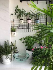 Không gian căn hộ De Capella , Quận 2 Căn hộ De Capella  thiết kế hiện đại cách âm cực tốt, bàn giao đầy đủ nội thất.