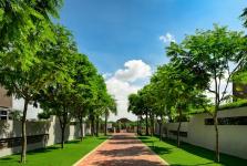 Riviera Cove - biet-thu-riviera-cove-quan-9